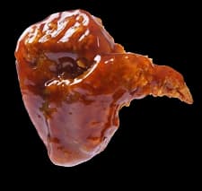 Bangor Fried Chicken Lava